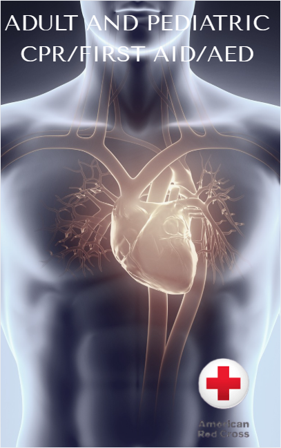 Adult and Pediatric CPR/First Aid/AED